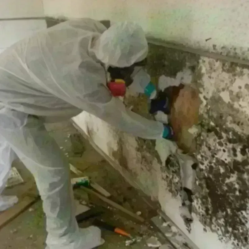 Mold Remediation and Removal in Carneys Point, NJ